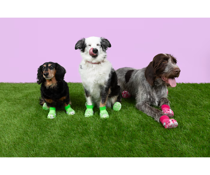Pet Crocs Stiefel