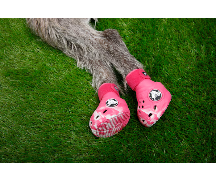 Pet Crocs Stiefel