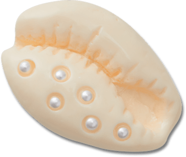 Perle Puka Shell