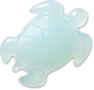 Light Blau Turtle